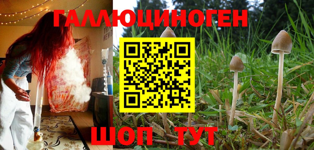 Галлюциногенные грибы MAGIC MUSHROOMS  купить закладку  Мытищи  Вход с VPN 