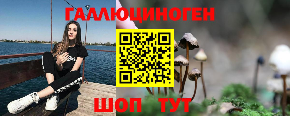 Псилоцибиновые грибы MAGIC MUSHROOMS Мытищи